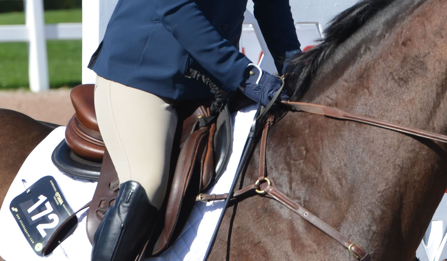 2050 x 1200 - wasabi crop.jpg